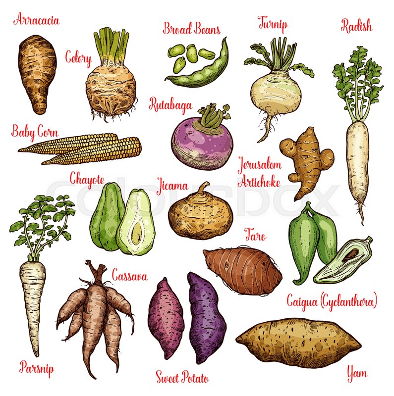 Exotic Root Vegetables