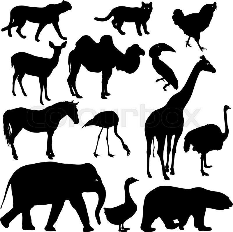 silhouette elephant tiger bear giraffe stock vector colourbox silhouette elephant tiger bear giraffe stock vector colourbox