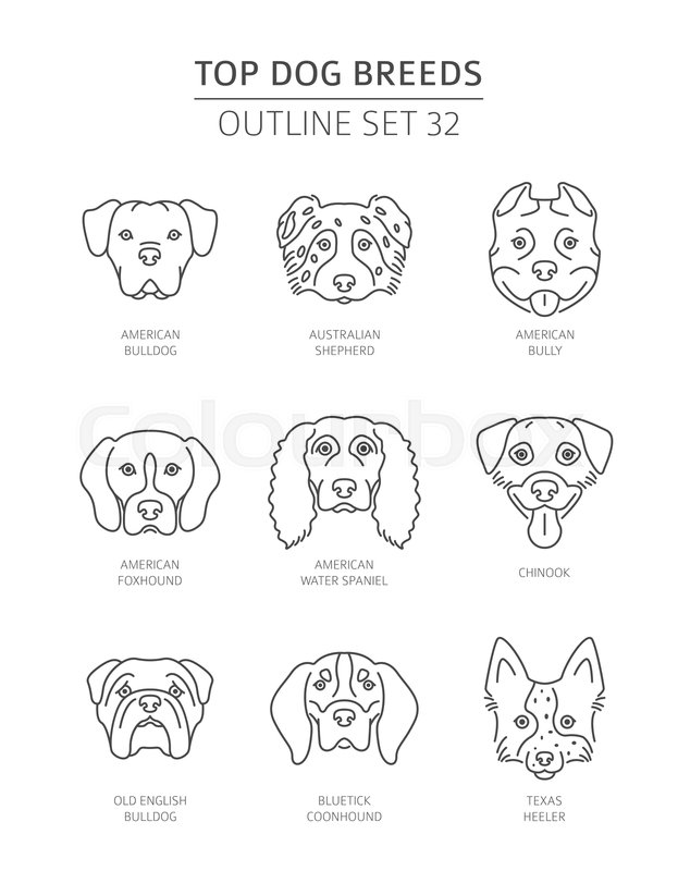 25+ Best Looking For Australian Shepherd Drawing Outline