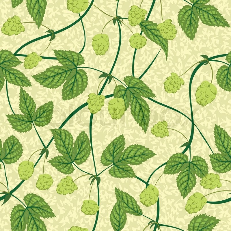 Hop seamless background | Stock vector | Colourbox