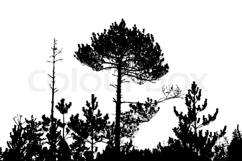 tree silhouette on white background stock vector colourbox trees silhouette vector