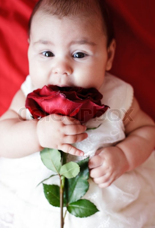 cute babies in red roses