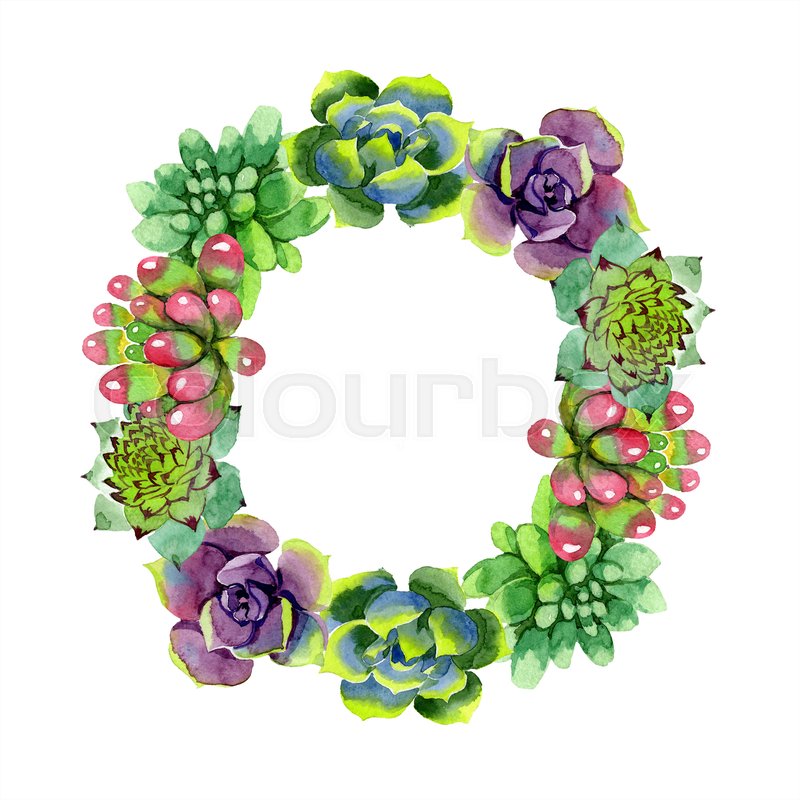 Succulent Watercolor Background - Best Succulent Ideas