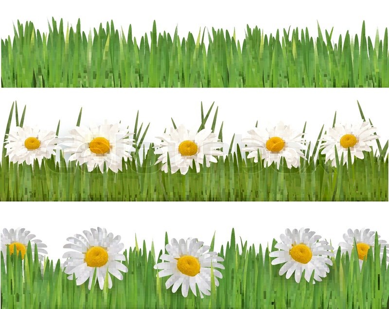 Fresh spring and daisy borders Vector Stock vector Colourbox