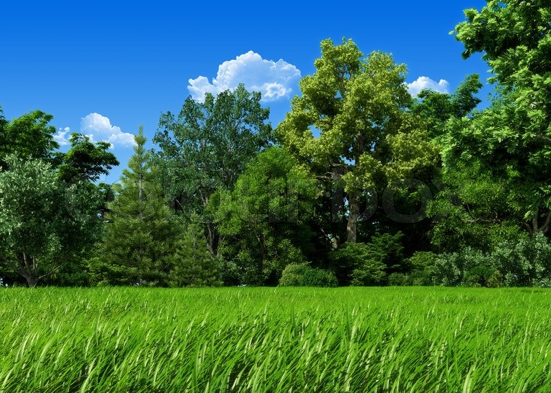 forest template