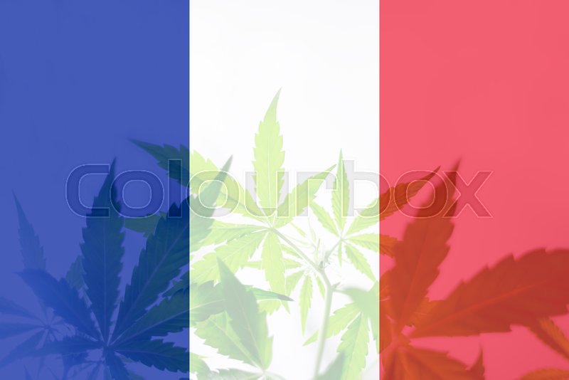 Medical Use of Cannabis in France. Stock image Colourbox