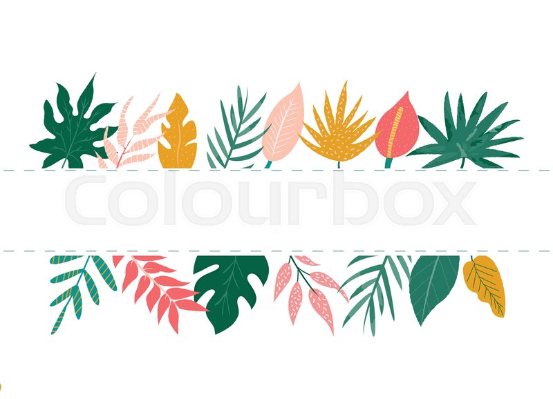 Trendy Summer Tropical Leaves Banner Stock Vector Colourbox