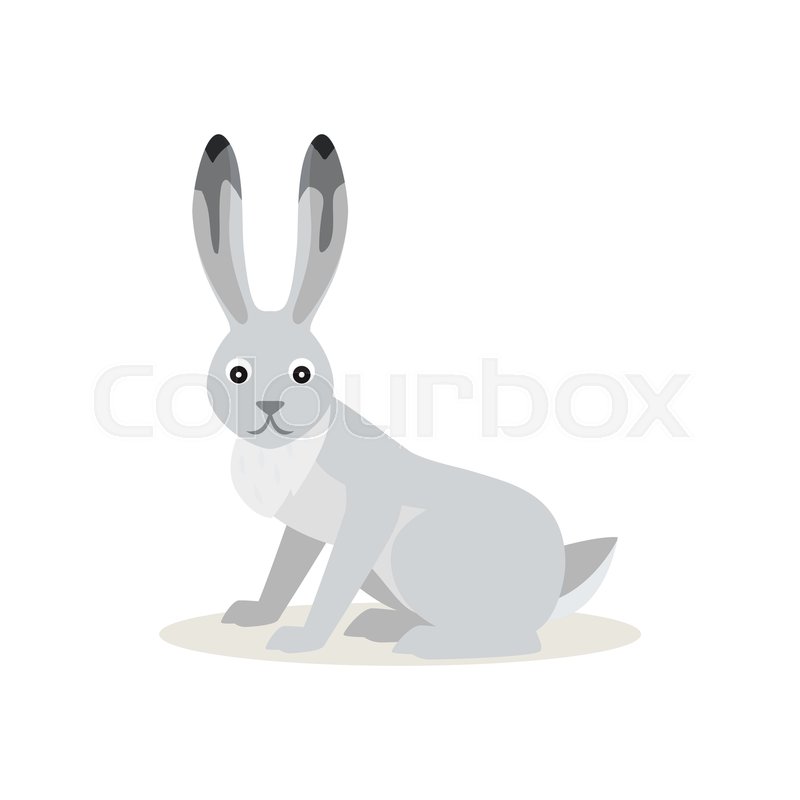 Icon of funny cute White Snowshoe Hare Stock vector Colourbox