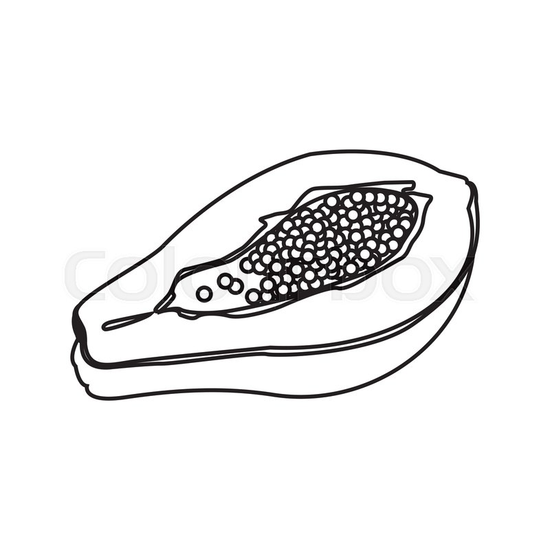 Papaya Cartoon Black And White / White Papaya Black And White Stock