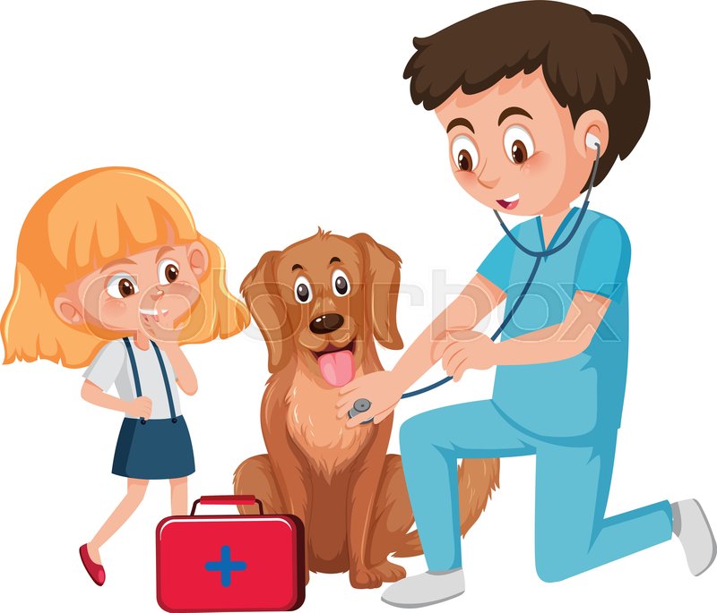 A vet taking care of dog illustration Stock vector Colourbox