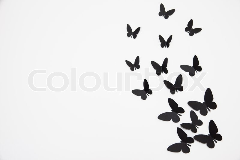 Black Butterfly Isolated On White Stock Image Colourbox