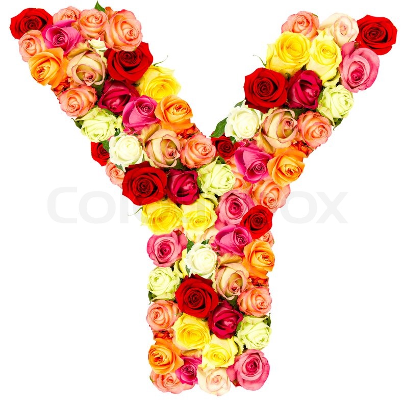 of text flower symbol life roses  Photo  flower  Colourbox alphabet Stock