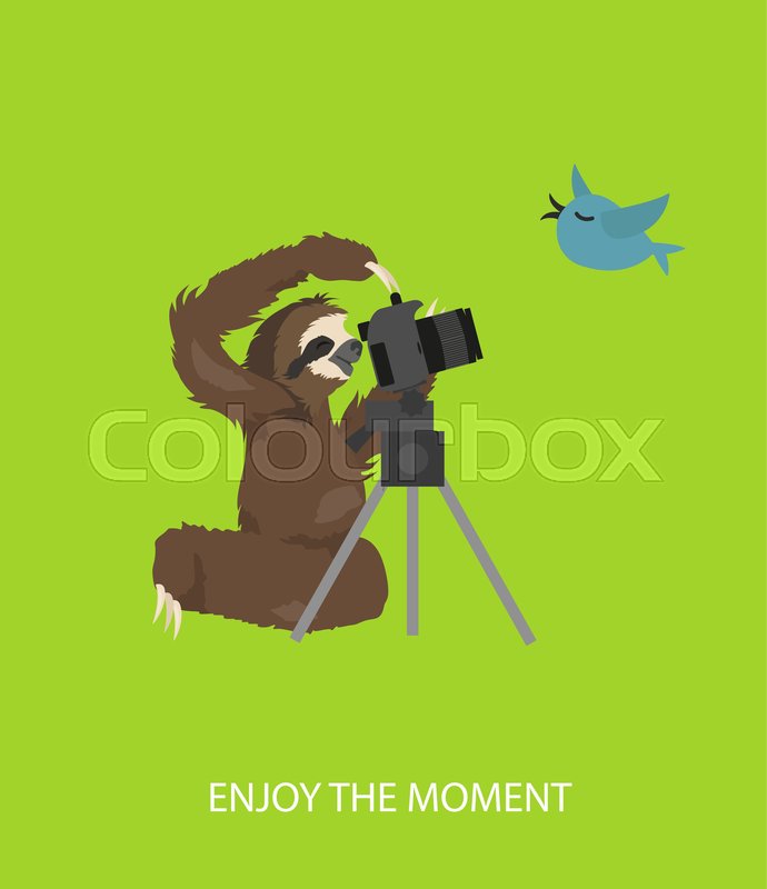 The story of one sloth. Traveling, holiday. Funny cartoon sloths in different postures set | Stock vector | Colourbox The story of one sloth. Traveling, holiday. Funny cartoon sloths in different postures set | Stock vector | Colourbox