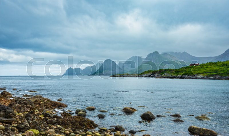 Summer Senja Fjord Coast View Near Stock Image Colourbox