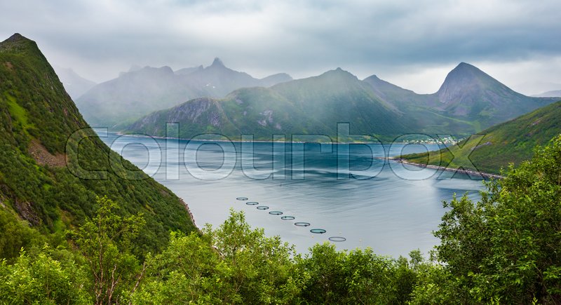 Summer Senja Fjord Coast View Near Stock Image Colourbox