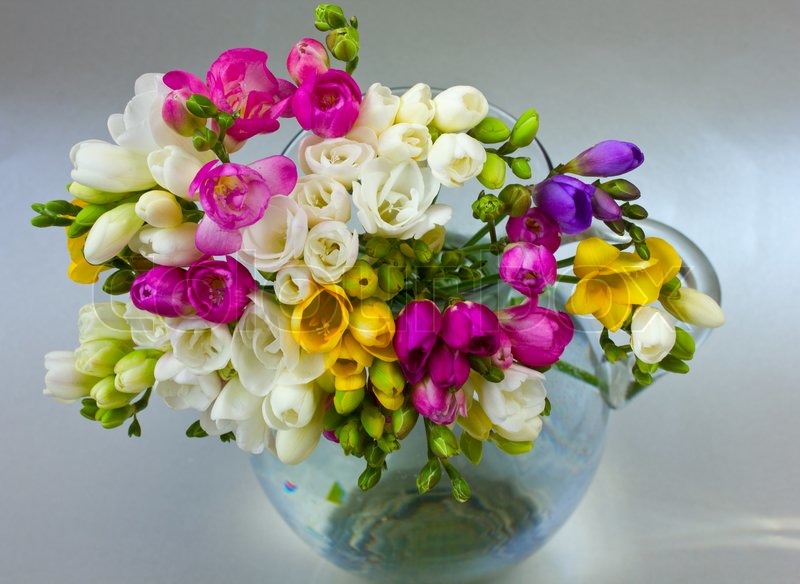 Blooming flowers | Stock image | Colourbox