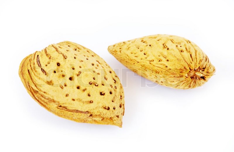 Almond | Stock image | Colourbox