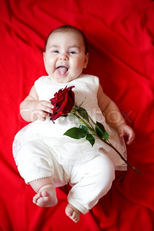 cute babies in red roses