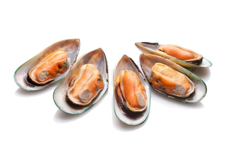 Green mussels on white background | Stock image | Colourbox