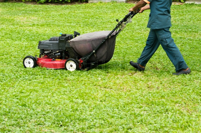 44+ Den Rasen Mähen, Wann und wie oft sollte man diese gartenarbeit