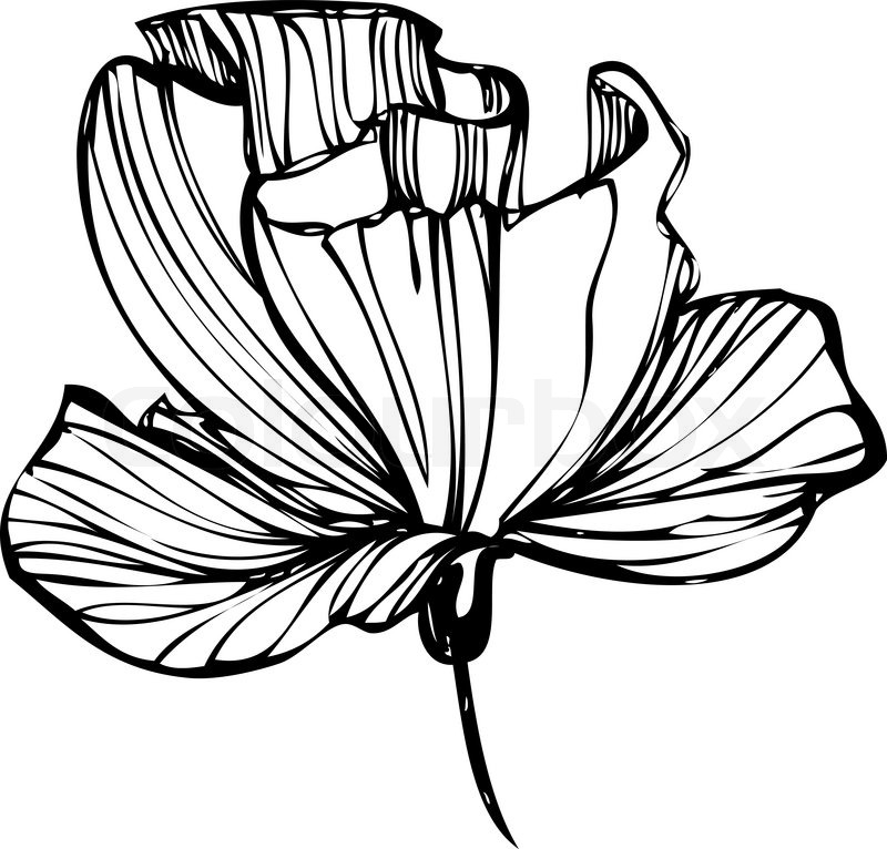 Free Free 97 Flower Sketch Svg SVG PNG EPS DXF File