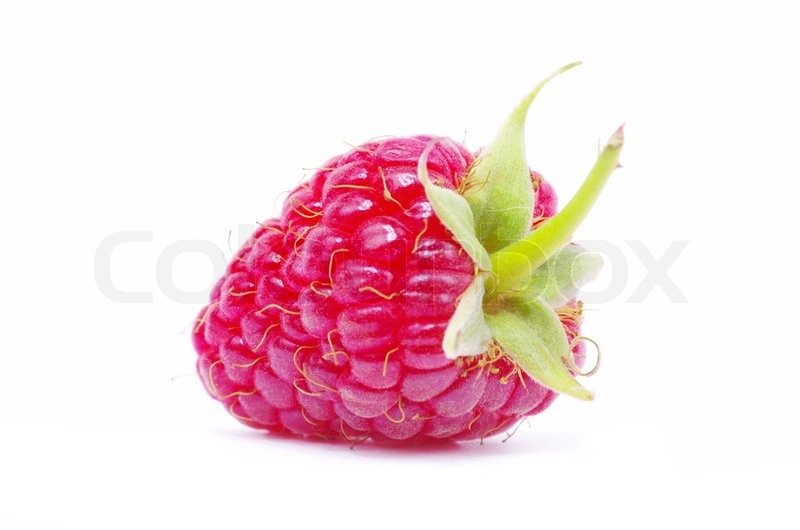 Raspberry | Stock image | Colourbox