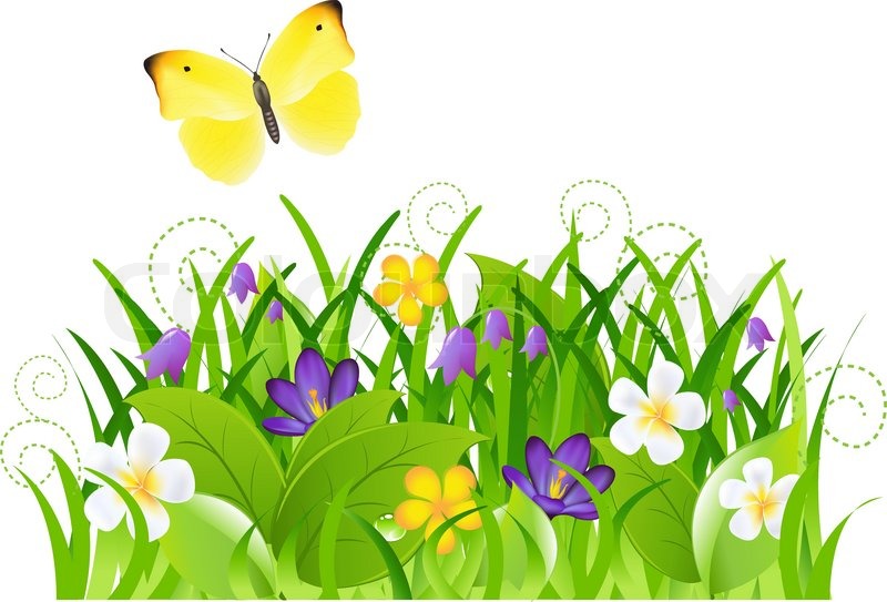 Flowers With Grass And Butterfly Stock Vector Colourbox