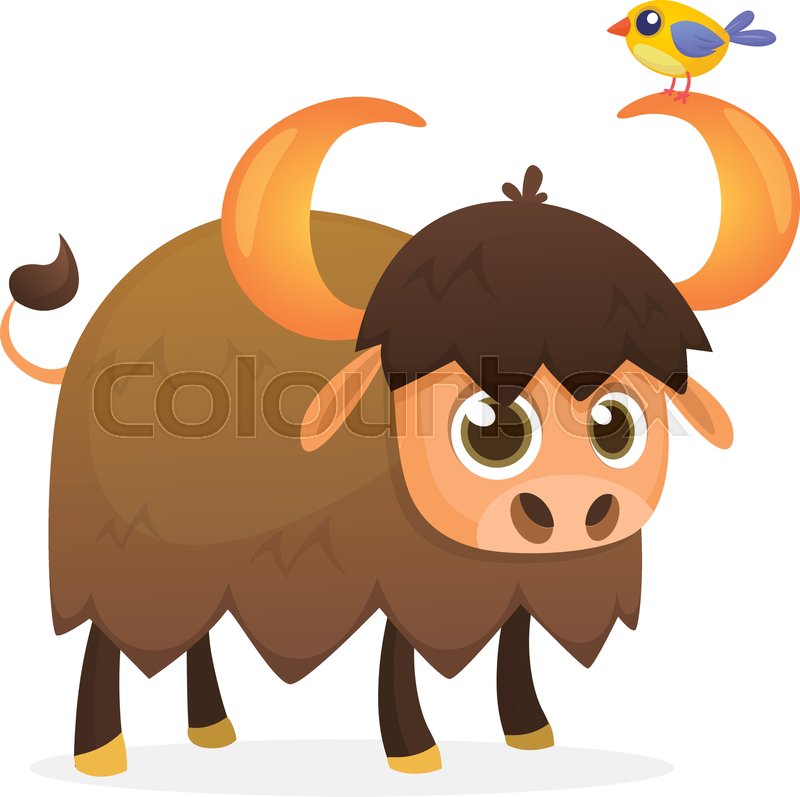 Cartoon American Bull Buffalo Ox Stock Vector Colourbox