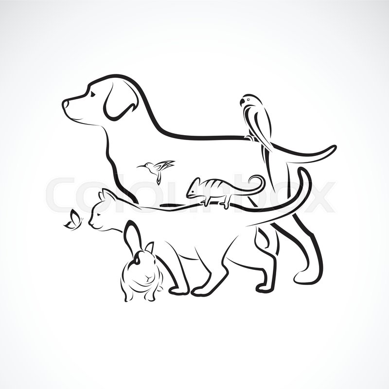 Vector group of pets - Dog, Cat, Parrot, Rabbit, Butterfly, Hummingbird, isolated on white background. Pet. Animals. Easy editable layered vector illustration. Pet group. | Stock vector | Colourbox Vector group of pets - Dog, Cat, Parrot, Rabbit, Butterfly, Hummingbird, isolated on white background. Pet. Animals. Easy editable layered vector illustration. Pet group. | Stock vector | Colourbox