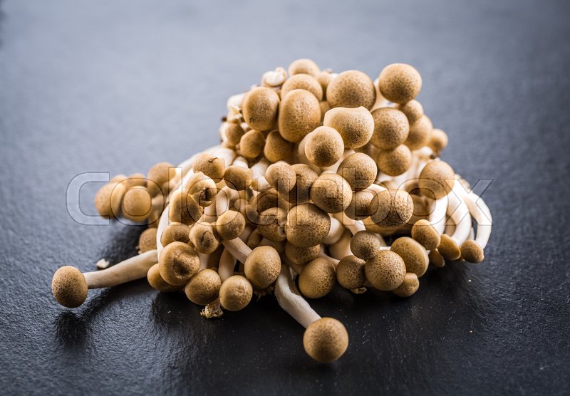 Buna Shimeji edible mushroom from Stock image Colourbox