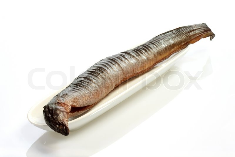 Smoked Eel | Stock image | Colourbox