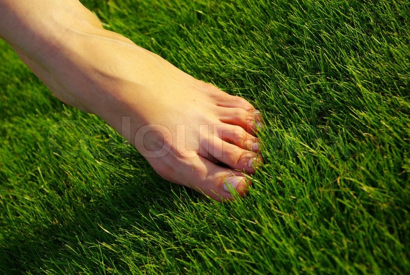 Fuß | Stock Bild | Colourbox