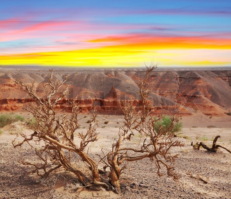 Gobi desert | Stock image | Colourbox