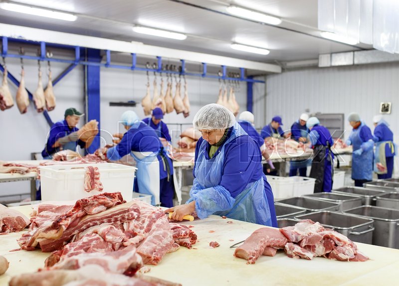 Cutting meat in slaughterhouse. Butcher ... | Stock image | Colourbox