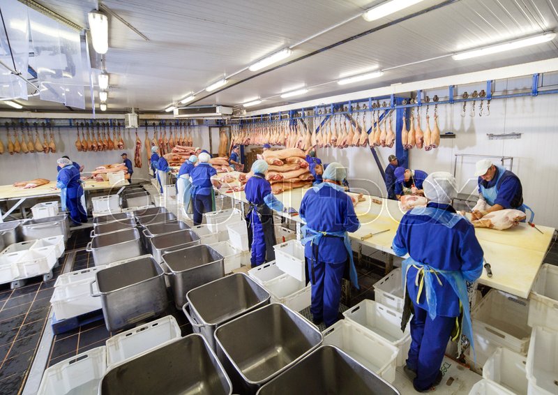 Cutting meat in slaughterhouse. Butcher Stock image Colourbox