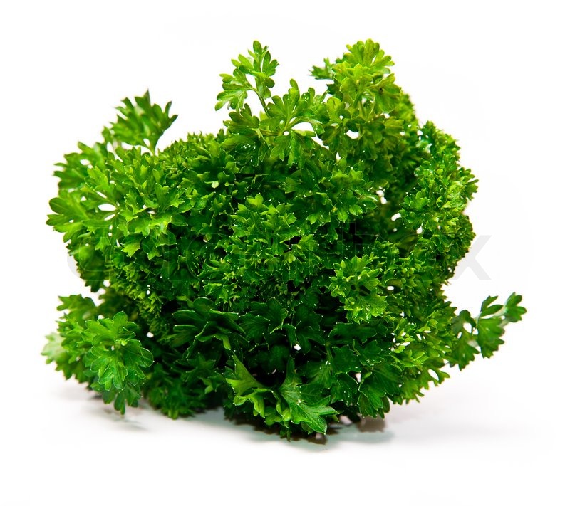 Fresh leaf of parsley Stock image Colourbox