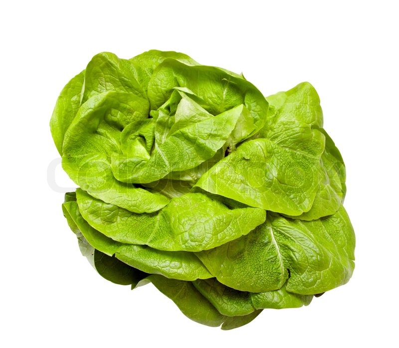 Head lettuce isolated on a white Stock Photo Colourbox