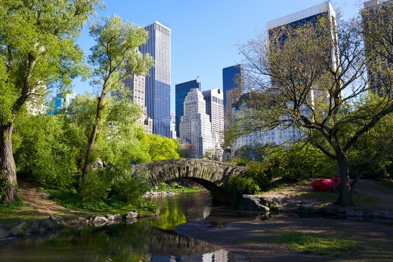 Central Park and Manhattan skyline, New Stock image Colourbox