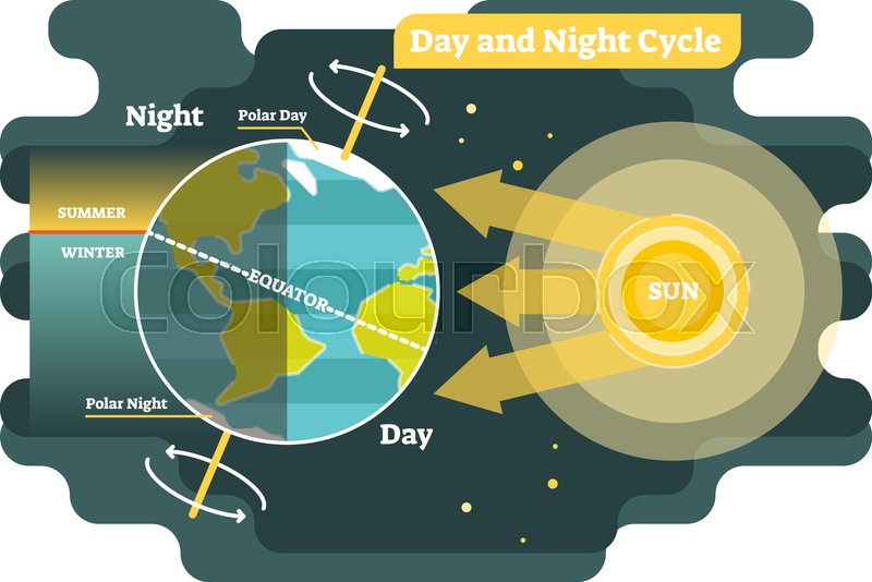 24-hours-day-and-night-cycle-diagram-stock-vector-colourbox