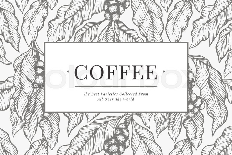 Coffee vector design template. Vintage ... | Stock vector | Colourbox
