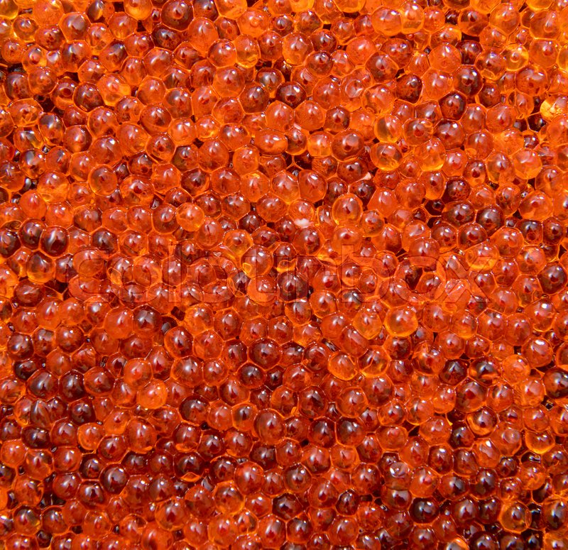 Red caviar close up background | Stock image | Colourbox