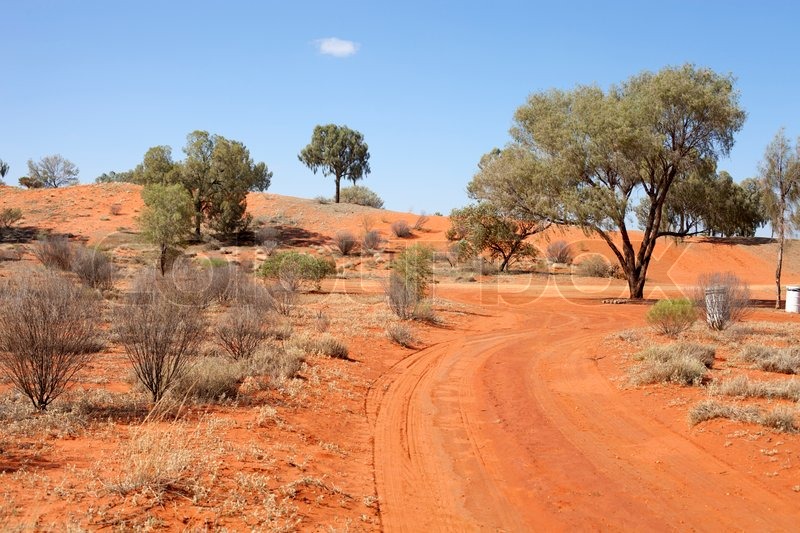 Red sandy road in desert between lonly trees Stock Photo Colourbox
