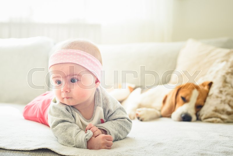 6 Months Old Baby Girl Lie Next To Stock Image Colourbox