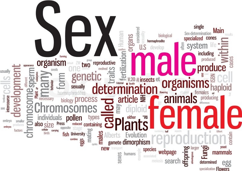 Sex Word Cloud Stock Vector Colourbox 9165