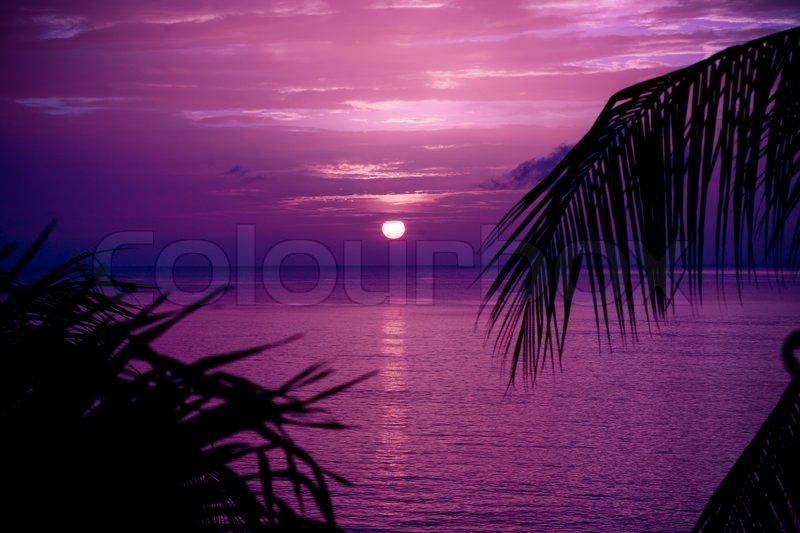 Landscape scenery of a beautiful tropical island with green palm trees