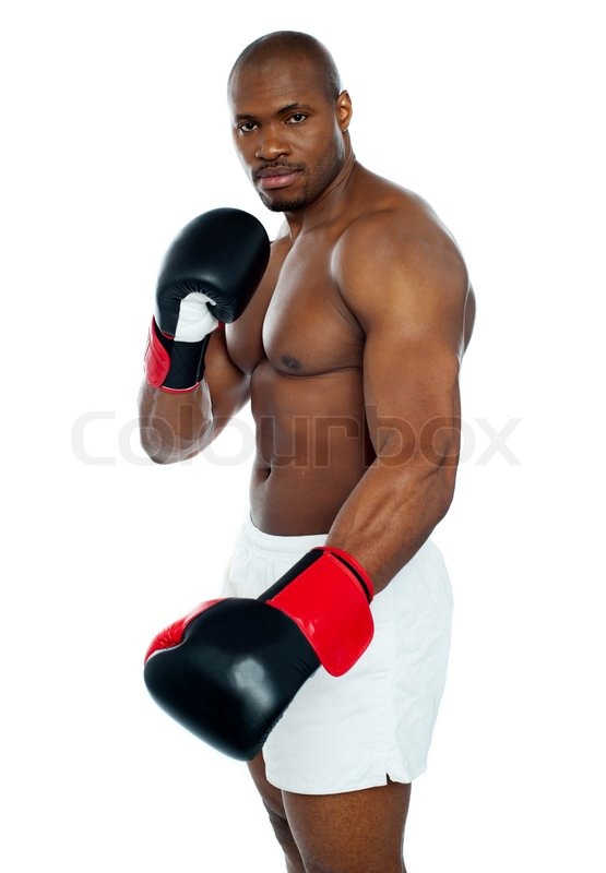 i am a boxer