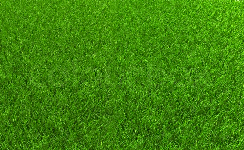 Rasen | Stock Bild | Colourbox