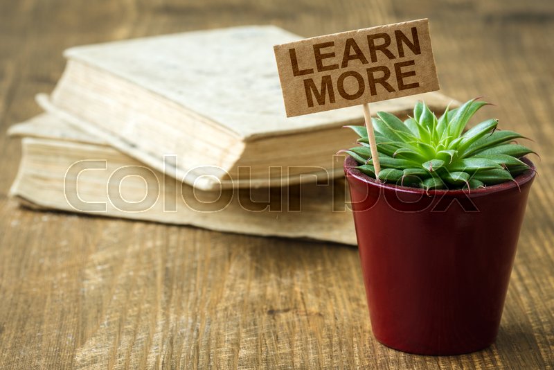 Books and cactus with a text learn stock image colourbox