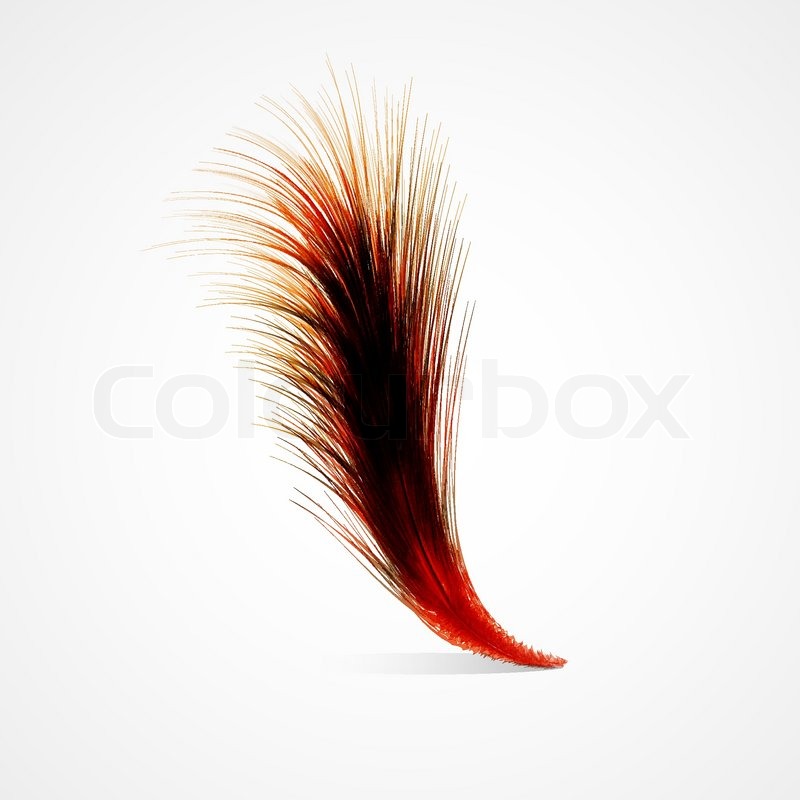 Red feather | Stock vector | Colourbox