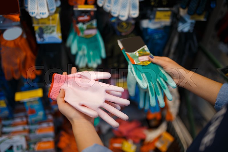 Female buyer choosing gloves, shop for Stock image Colourbox